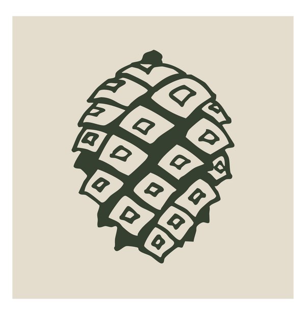 Ponderosa